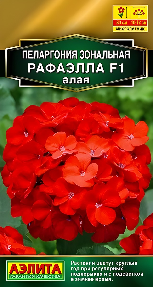 Пеларгония Рафаэлла F1, алая, 5 шт.