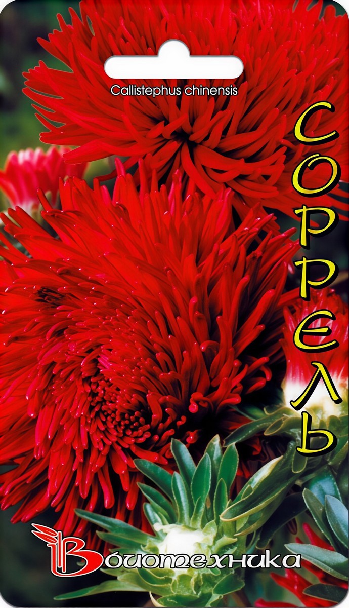 Астра Дракон Соррель, 70 шт. Биотехника