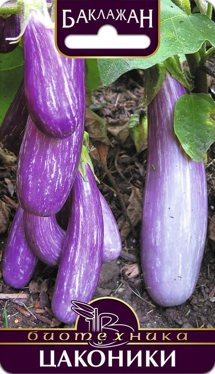 Баклажан Цаконики, 20 шт. Биотехника.