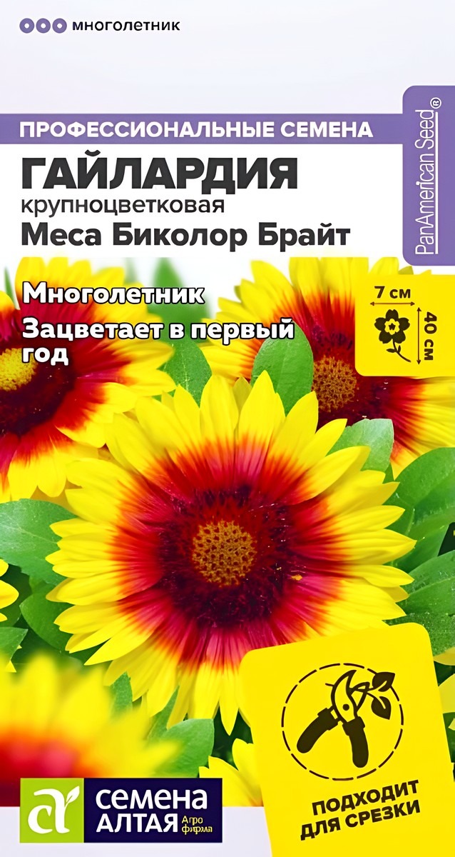 Гайлардия Меса Биколор Брайт, 3 шт. Профессиональные семена.