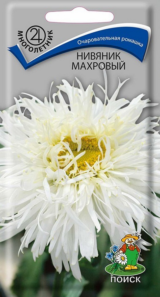 Нивяник махровый, 0,1 г
