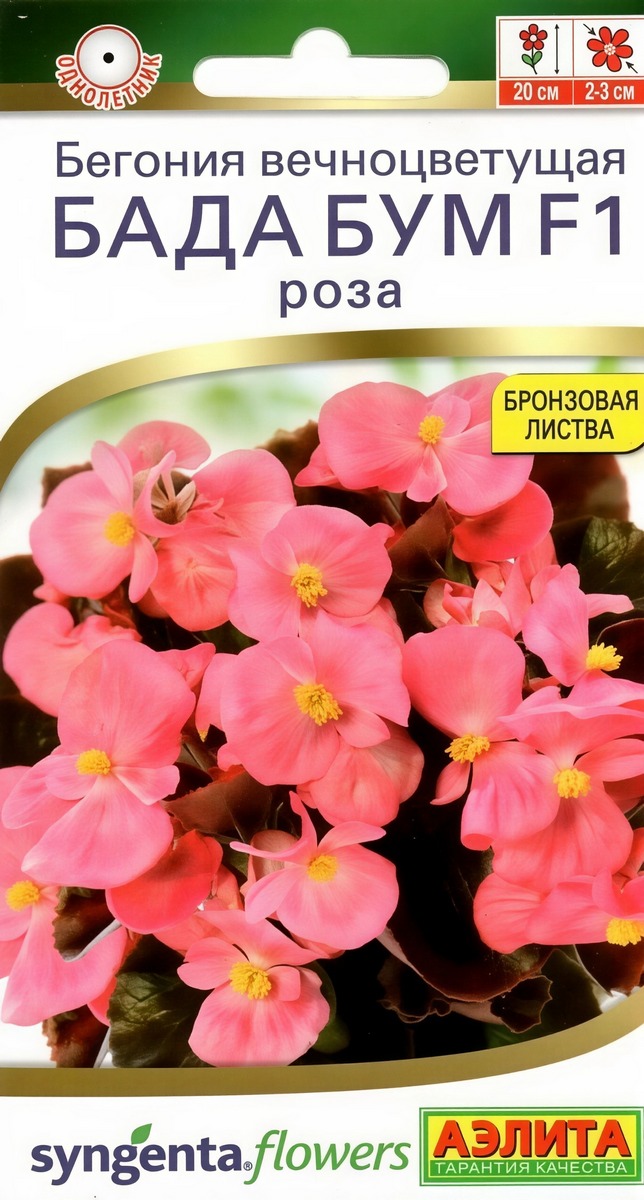 Бегония Бада бум F1 роза, 5 шт.
