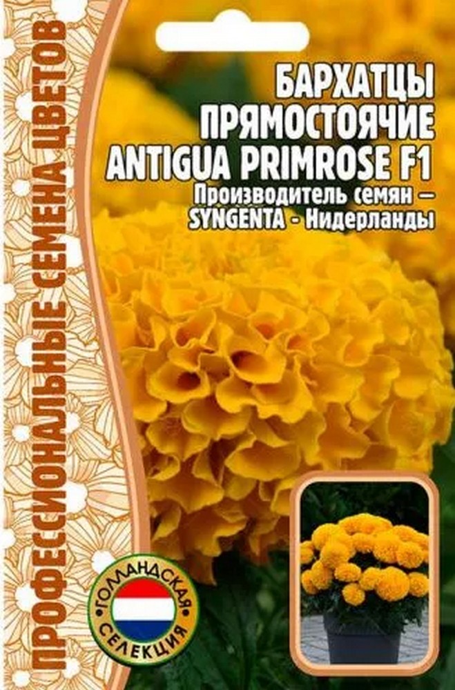 Бархатцы прямостоячие Antigua Primrose (Антигуа Примула) F1, 5 шт.