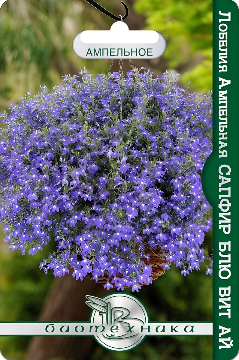 Лобелия Сапфир Блю Вит Ай, 1000 шт. 