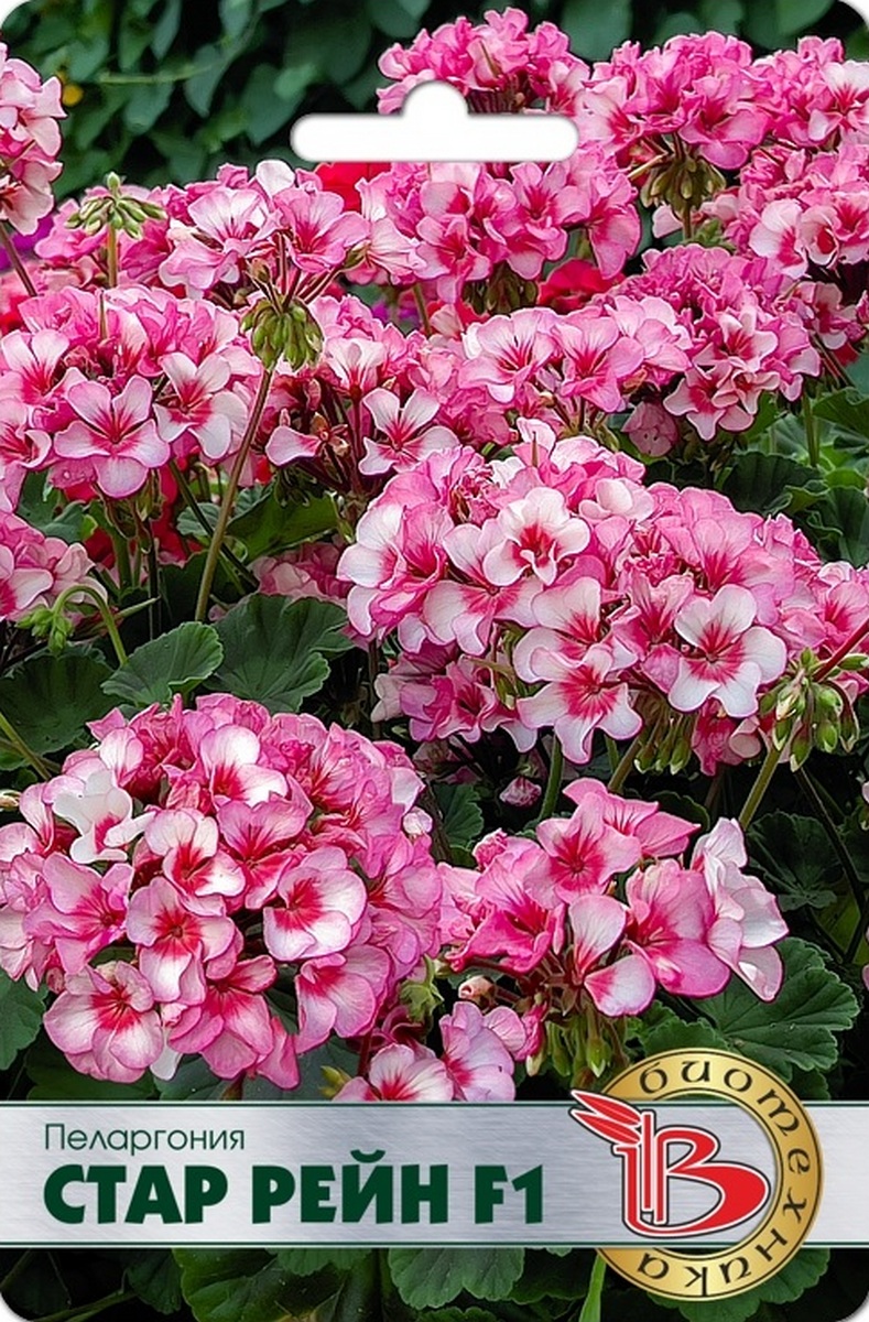 Пеларгония Стар Рейн F1, 5 шт. Биотехника