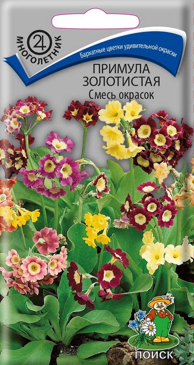 Примула золотистая Смесь, 0,01 г