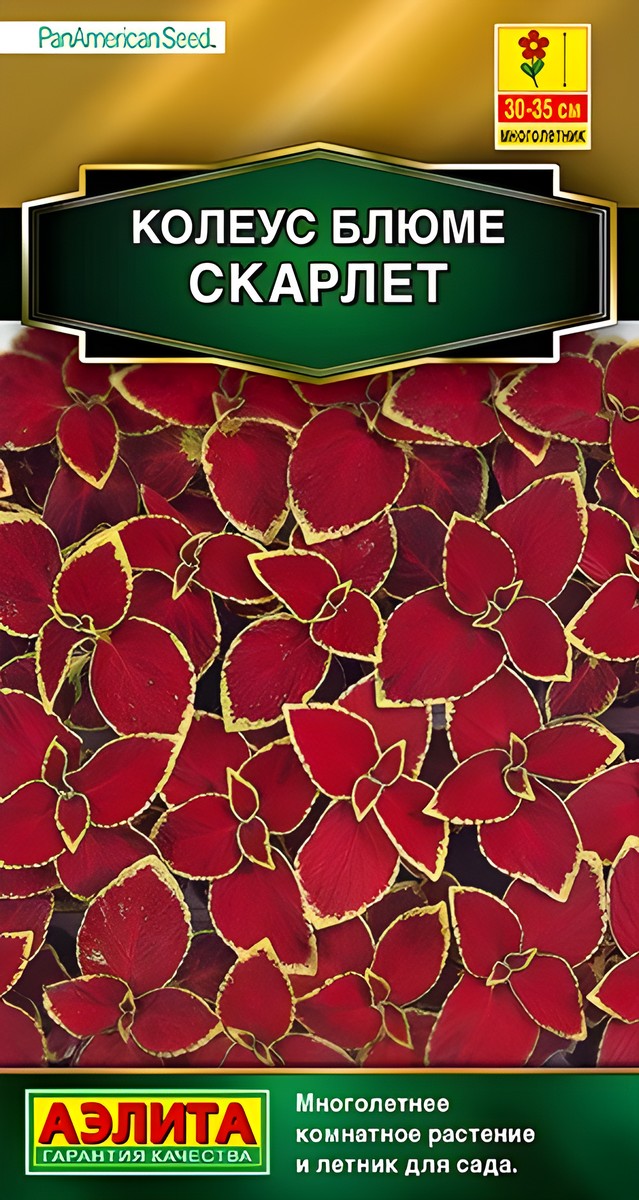Колеус блюме Скарлет, 10 шт.