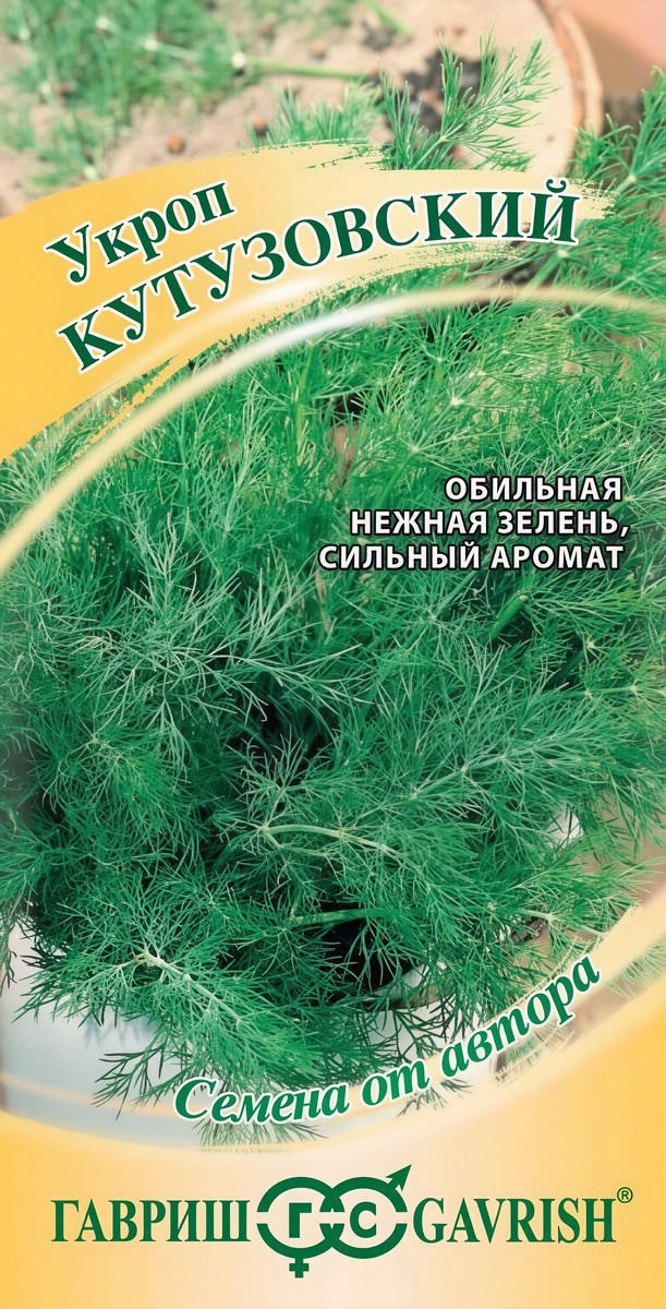 Укроп Кутузовский, 2 г. Семена от автора