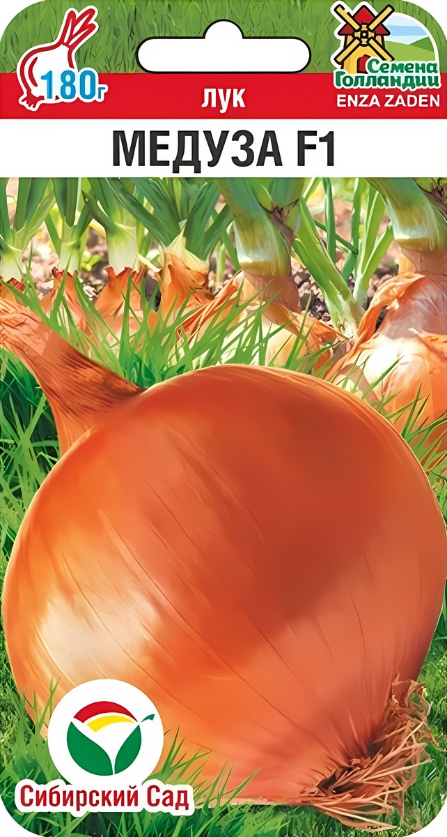 Лук репчатый Медуза F1, 50 шт. Семена Голландии.