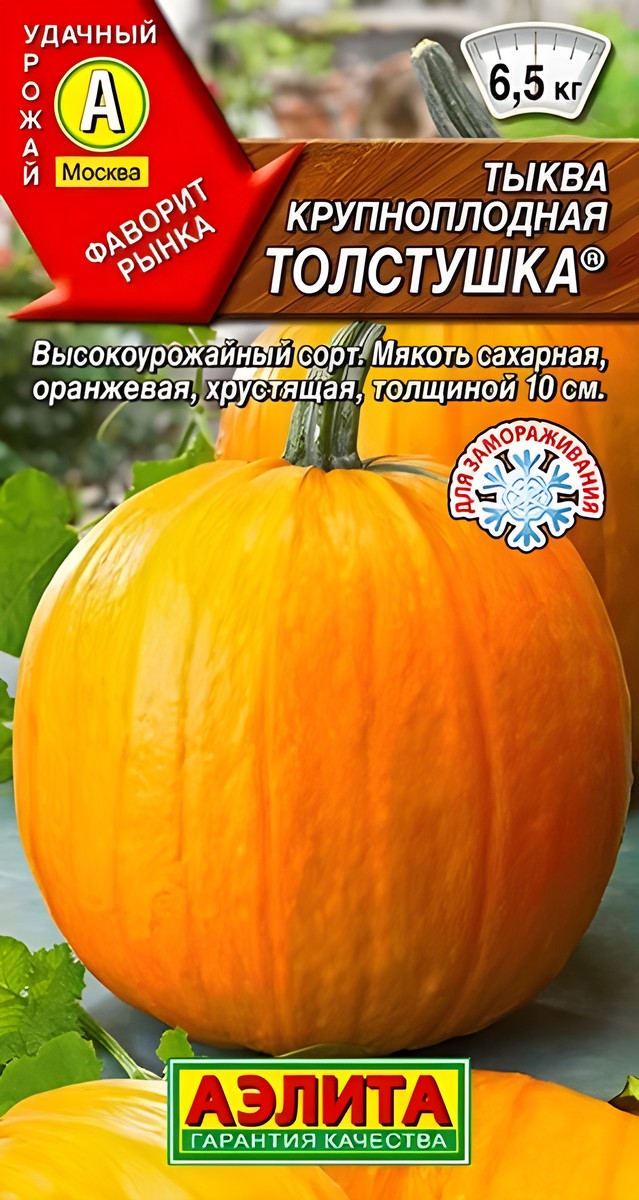 Тыква крупноплодная Толстушка, 1 г
