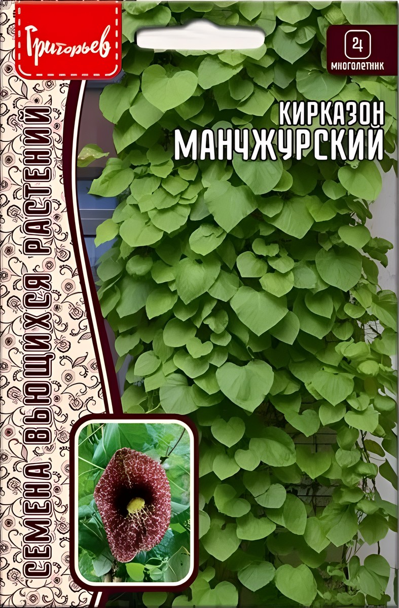 Кирказон Манчжурский, 20 шт.