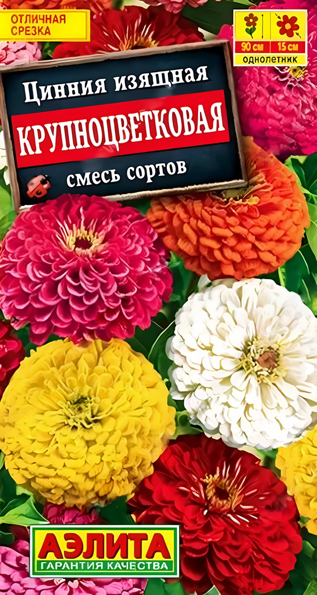 Цинния Крупноцветковая горшечная, смесь сортов, 12 шт.