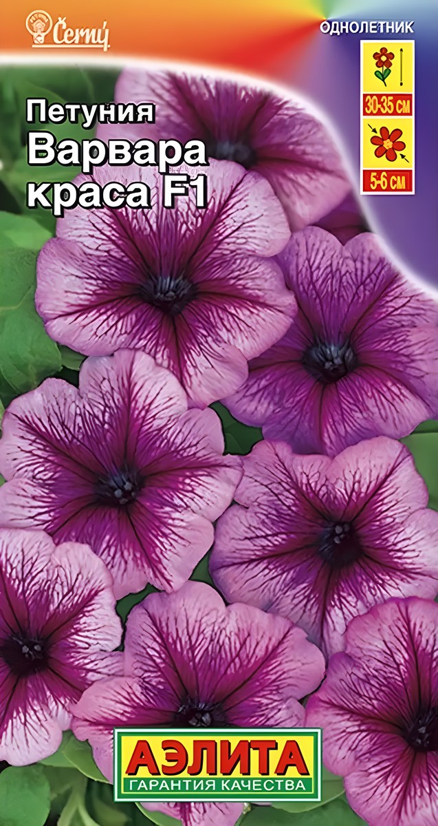Петуния Варвара Краса F1 многоцветковая, 7 шт.