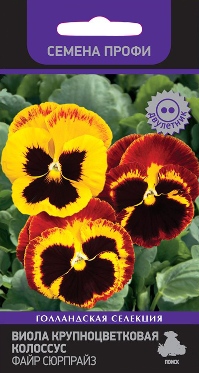 Виола крупноцветковая Колоссус Файр Сюрпрайз, 10 шт. Семена профи
