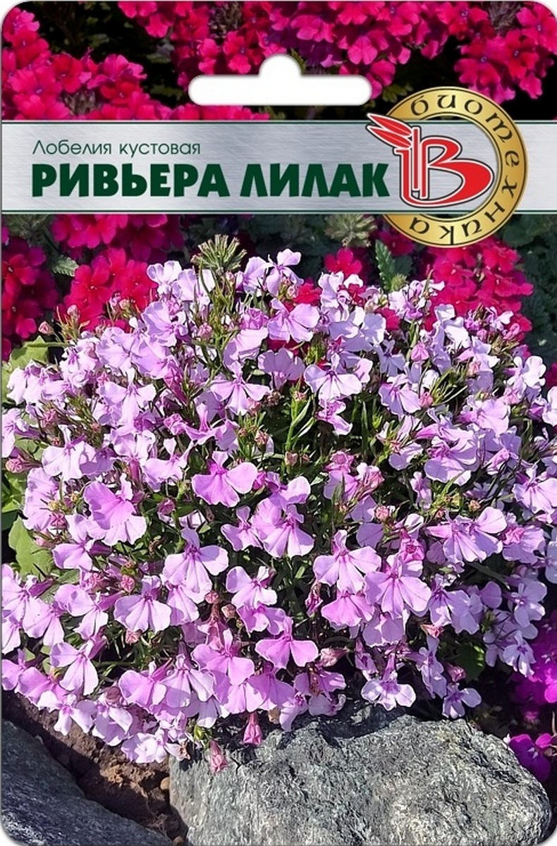 Лобелия кустовая Ривьера Лилак, 10 шт.