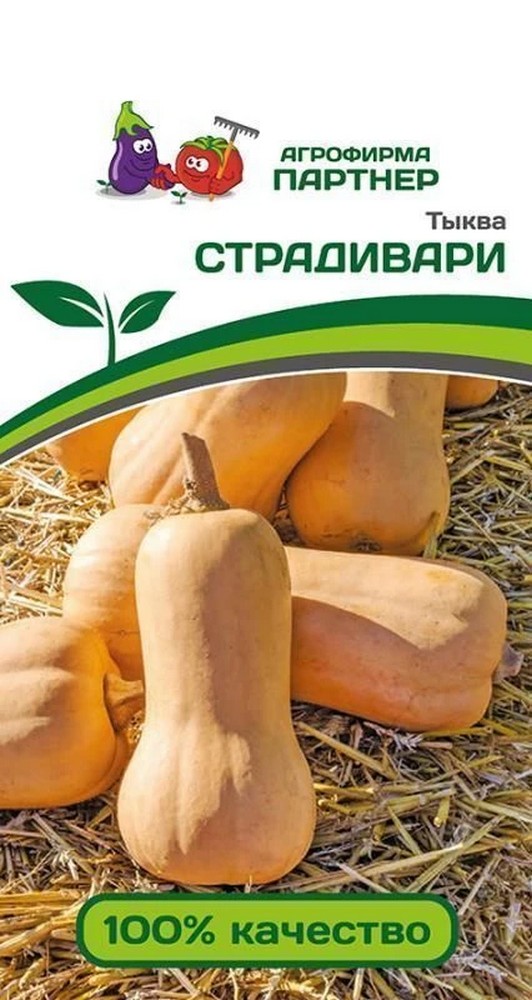 Тыква Страдивари, 10 шт. Агрофирма Партнер.