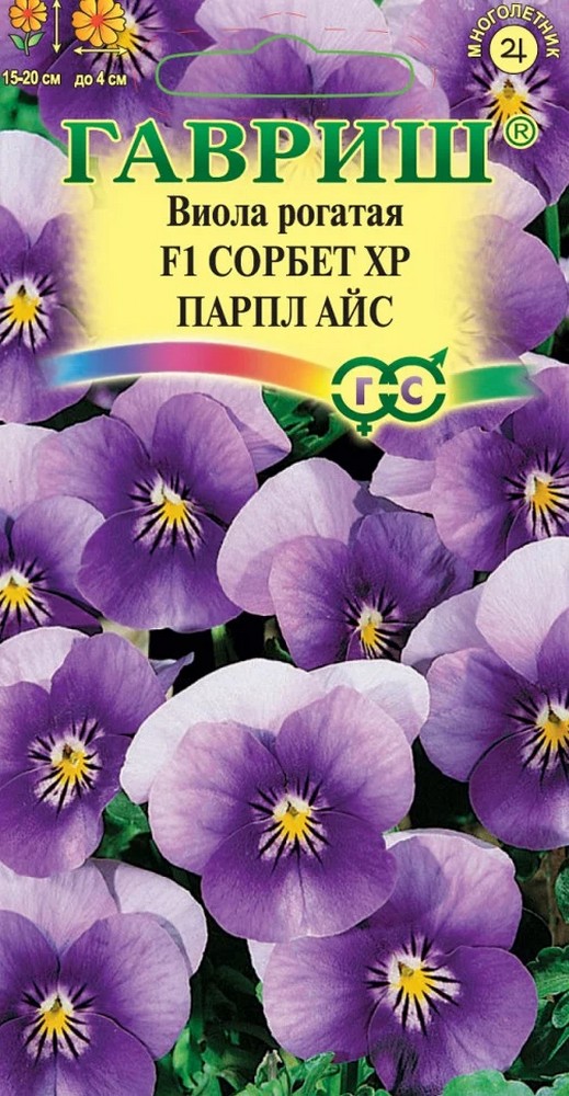 Виола рогатая Сорбет XP Парпл Айс F1, 4 шт. 