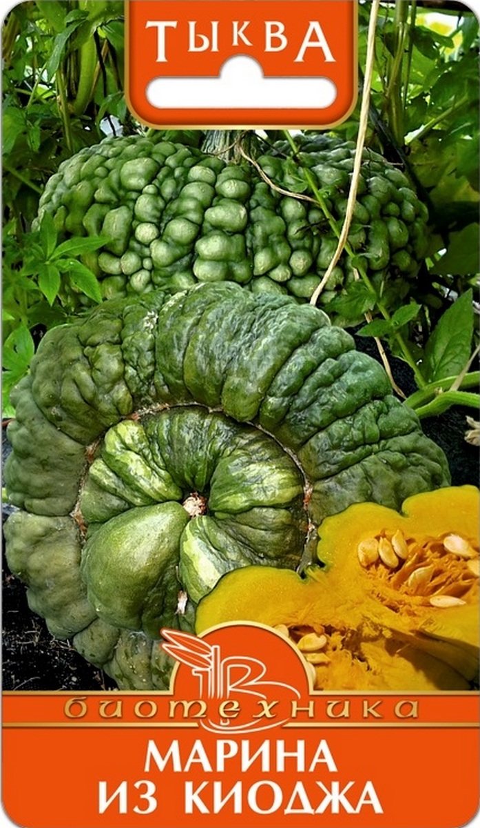 Тыква Марина из Киоджа, 5 шт. Биотехника