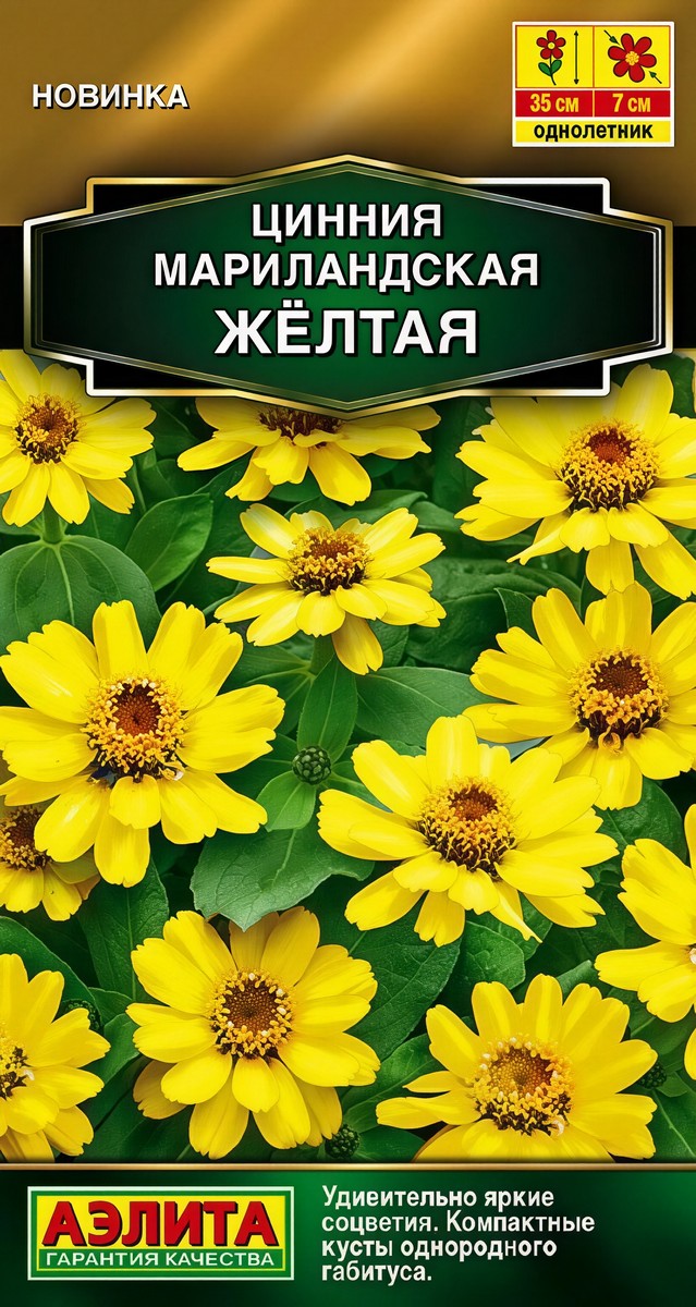 Цинния мариландская Жёлтая, 15 шт.