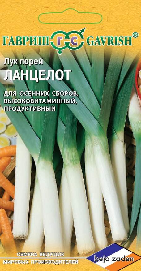 Лук порей Ланцелот, 0,2 г. Голландия.