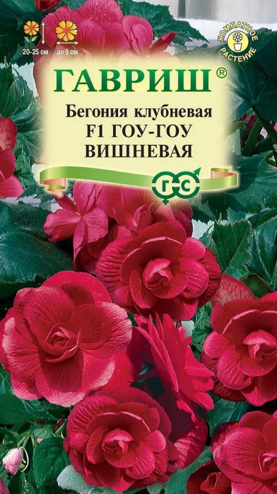 Бегония Гоу-гоу вишневая F1, 4 шт. Гранулы.