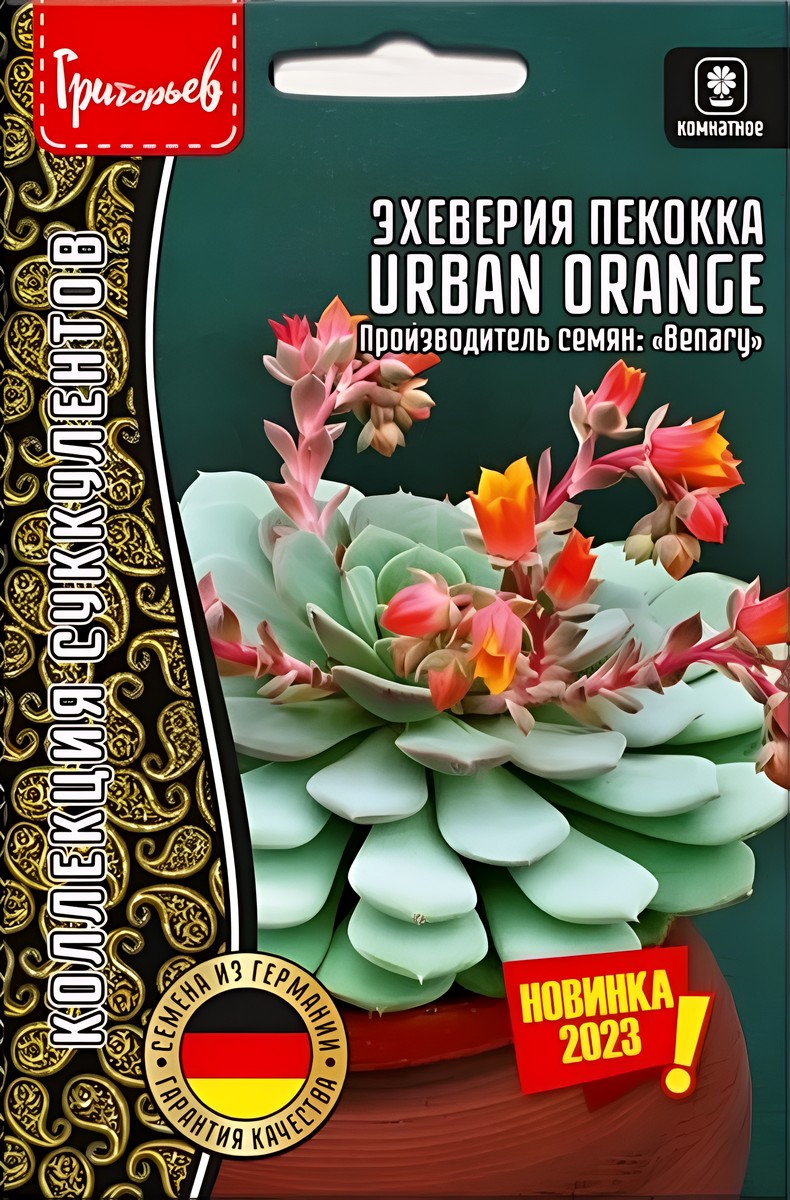 Эхеверия Urban Orange пекокка, 5 шт. драже.