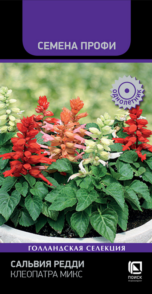 Сальвия Редди Брайт Ред, 10 шт. Семена профи