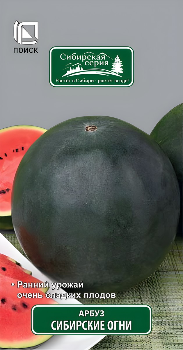 Арбуз Сибирские огни, 15 шт. Поиск.