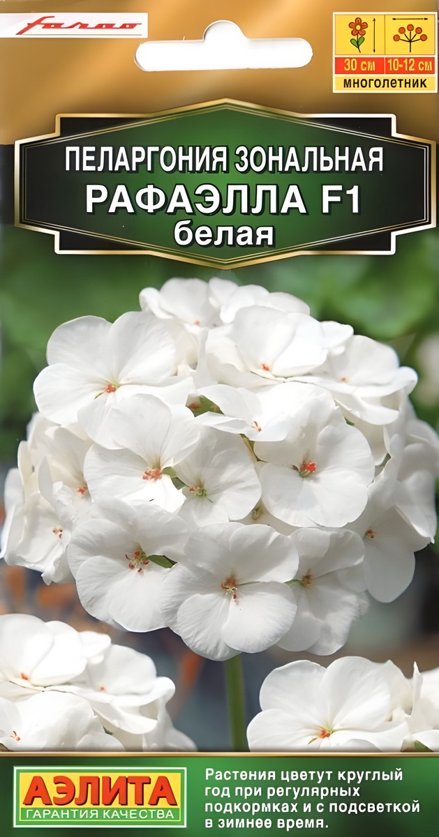 Пеларгония Рафаэлла F1, белая, 5 шт.
