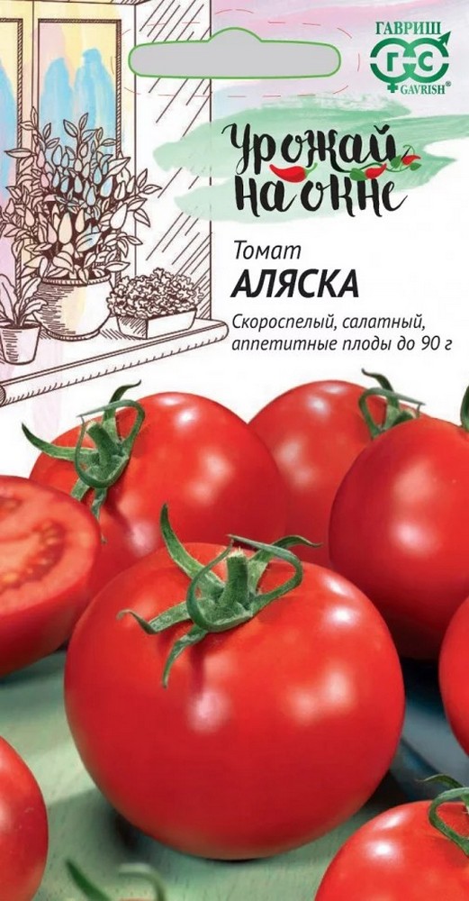 Томат Аляска 0,05 г. Урожай на окне. 