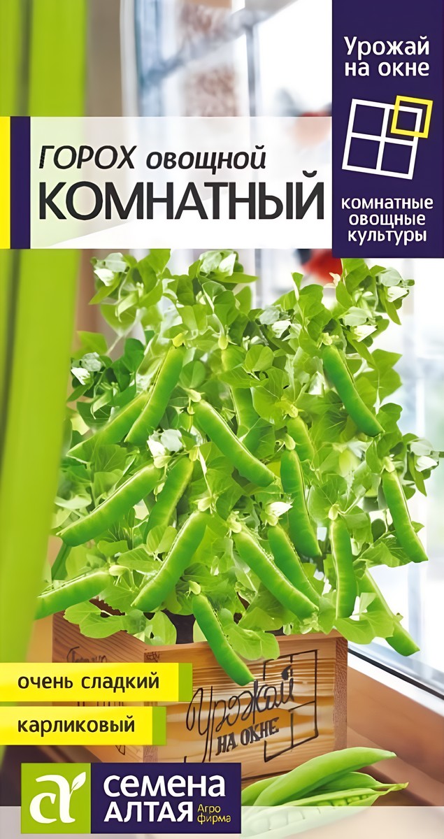 Горох Комнатный, 10 г. Урожай на окне.