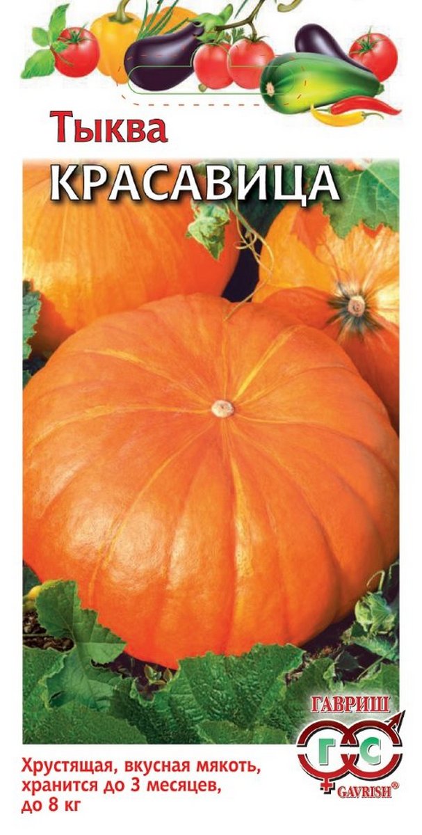 Тыква Красавица, 1 г