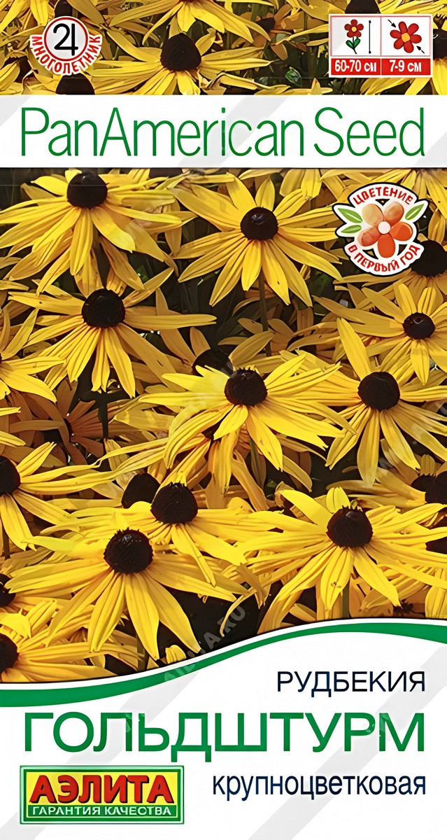Рудбекия Гольдштурм крупноцветковая, 5 шт.