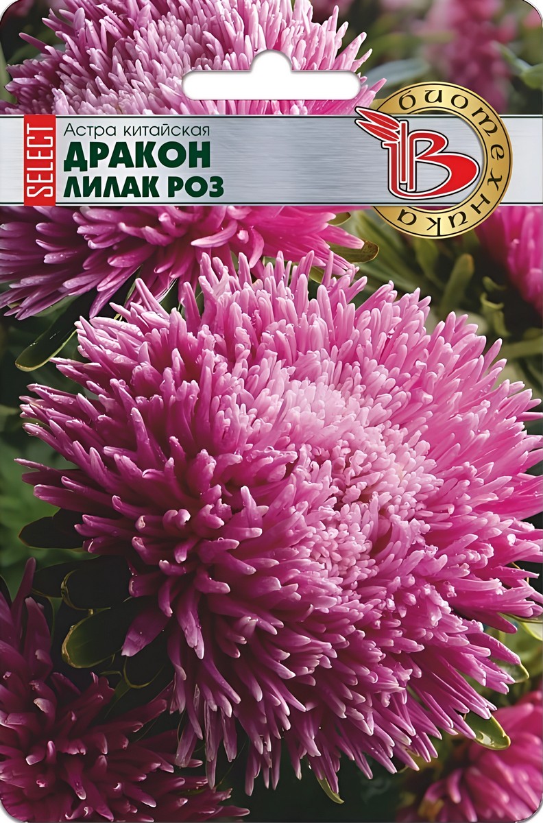 Астра китайская Дракон селект Лилак Роуз, 30 шт. Биотехника