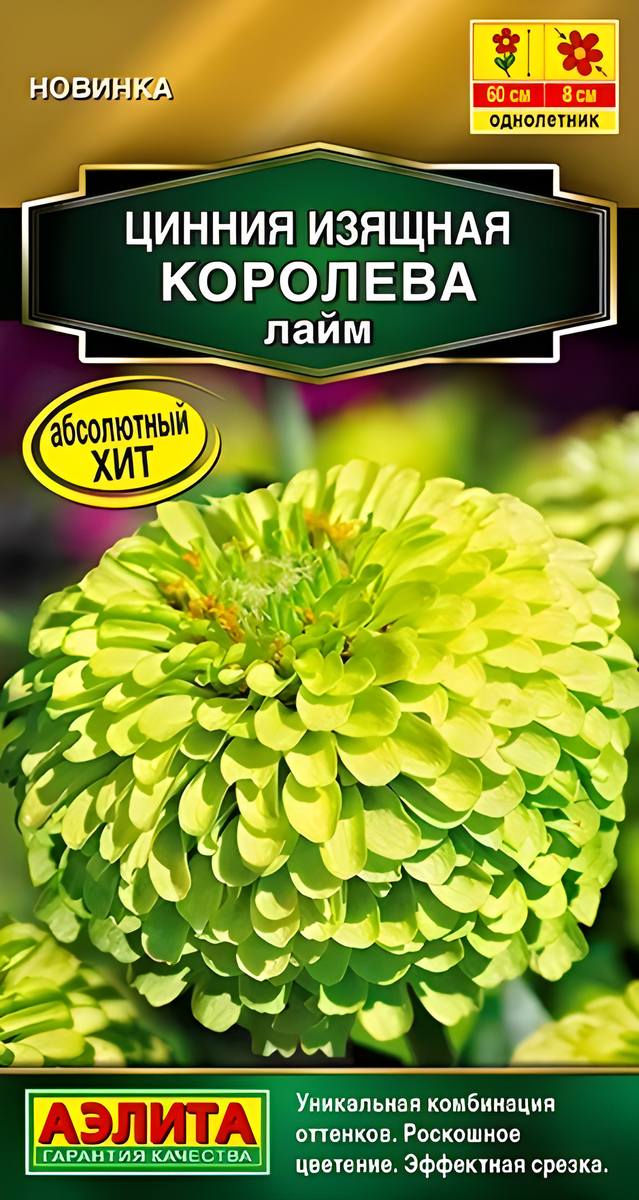Цинния изящная Королева, лайм, 5 шт.