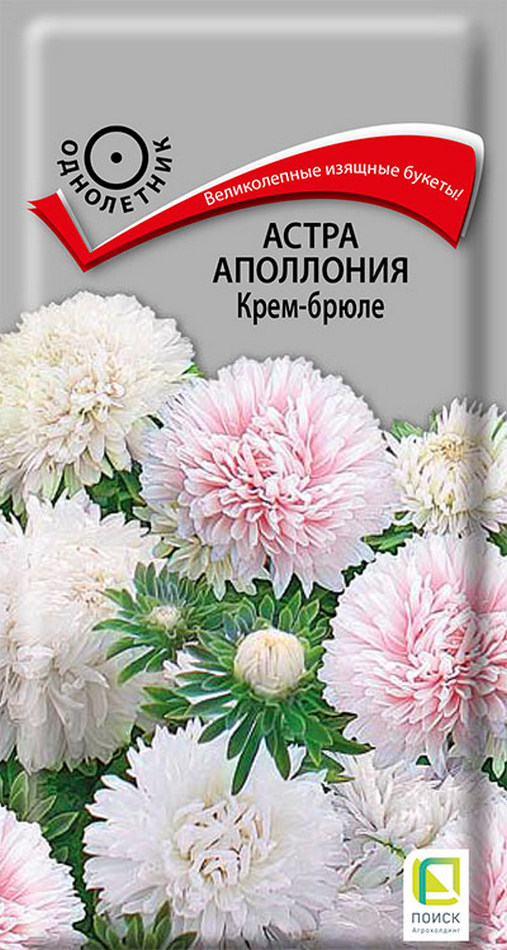 Астра Аполлония Крем-Брюле, 0,3 г