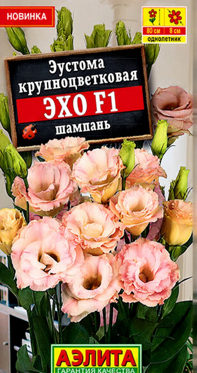 Эустома Эхо F1 шампань крупноцветковая, 5 шт.