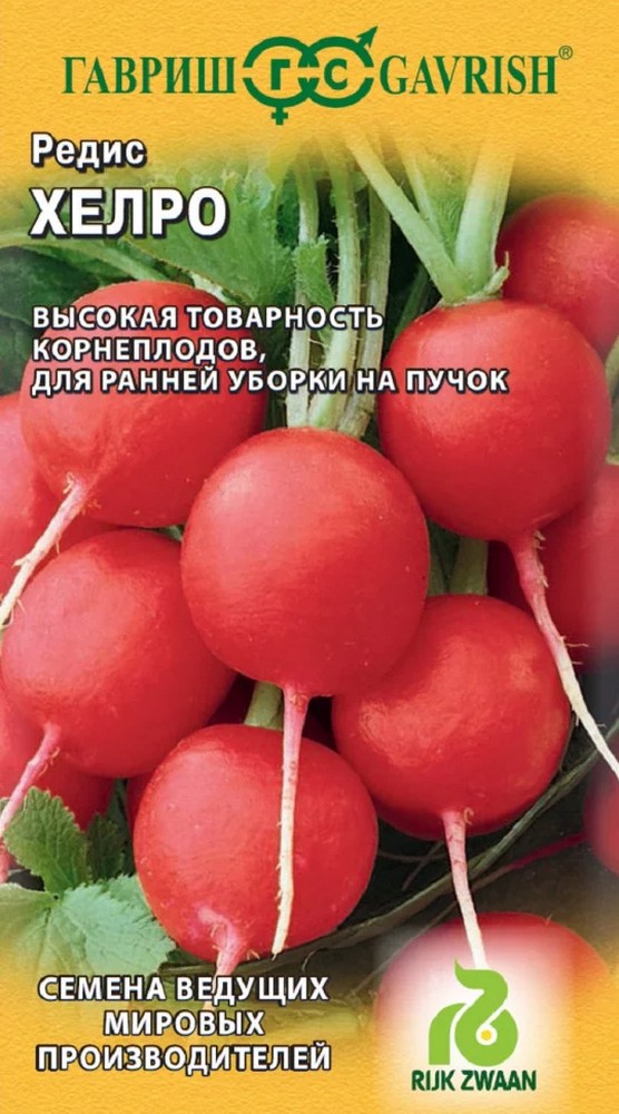 Редис Хелро, 1 г. Голландия.