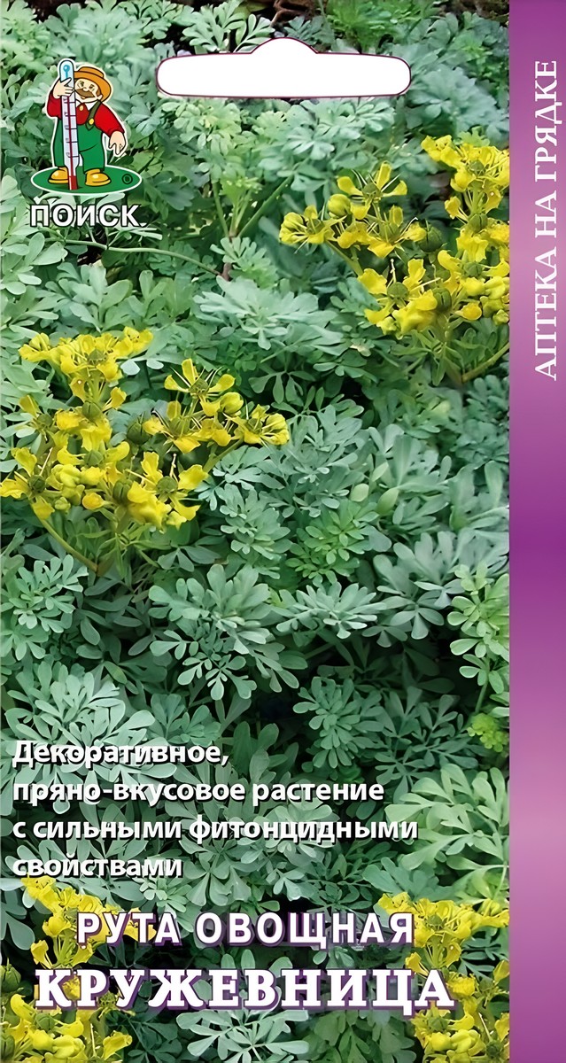 Рута овощная Кружевница, 25 шт.