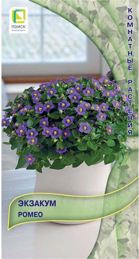 Экзакум Ромео, 5 шт.