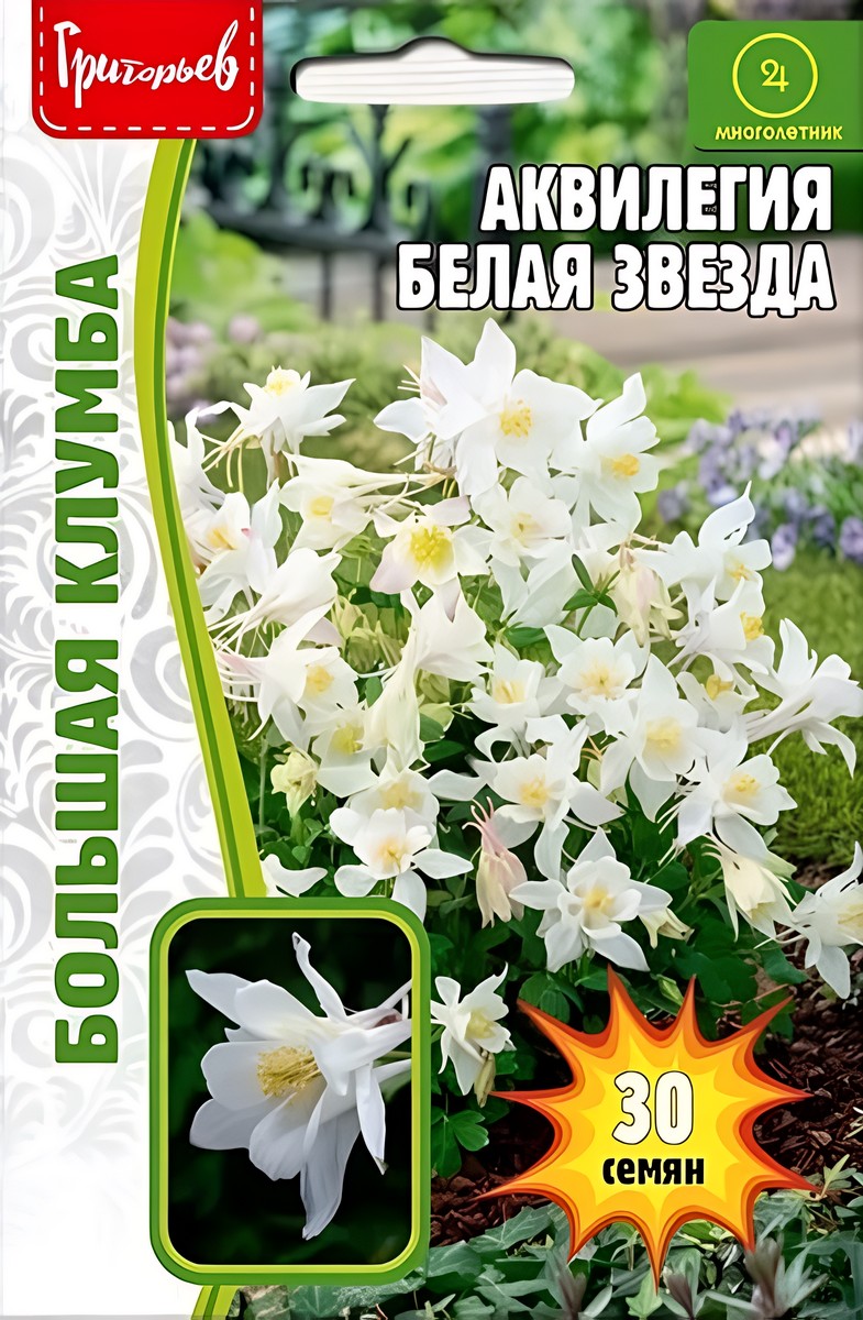Аквилегия Белая Звезда 30 шт.