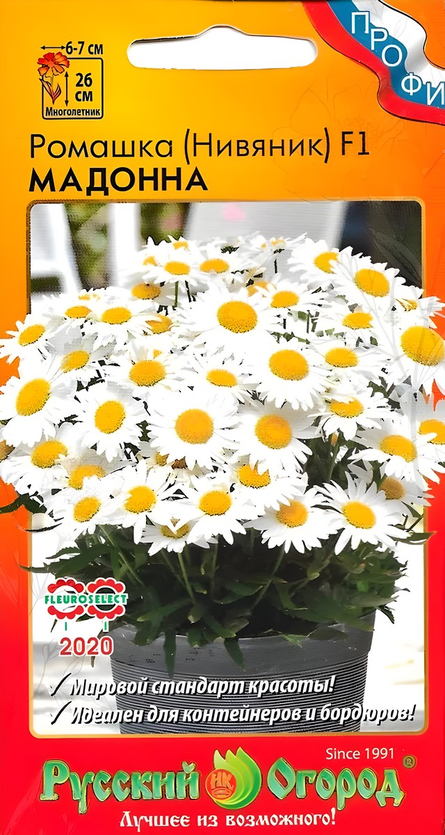 Ромашка (нивяник) Мадонна, 10 шт.  Русский огород