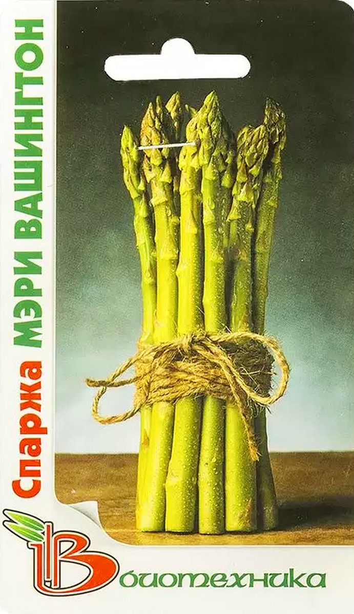 Спаржа Мэри Вашингтон, 20 шт. Биотехника