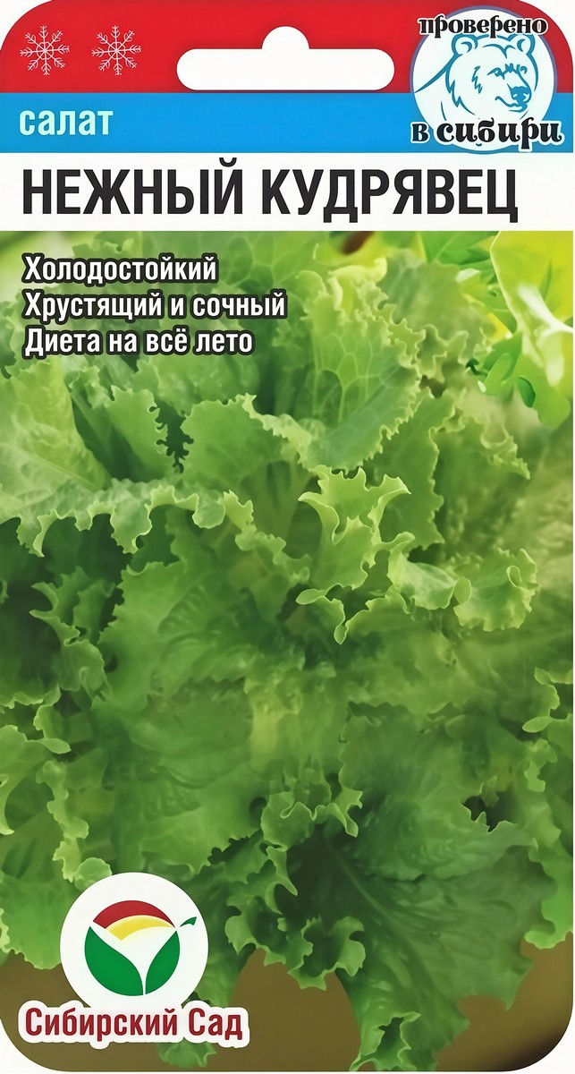 Салат Нежный кудрявец, 0,5 г 