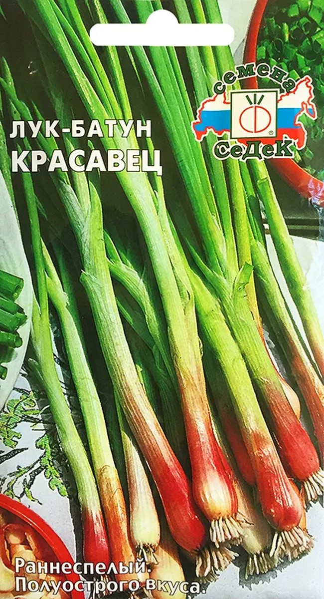 Лук батун Красавец, 0,3 г, Седек.