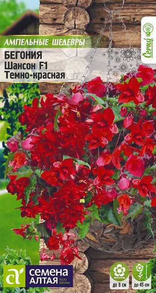 Бегония Шансон F1 Темно-красная, 5 шт. Ампельные шедевры