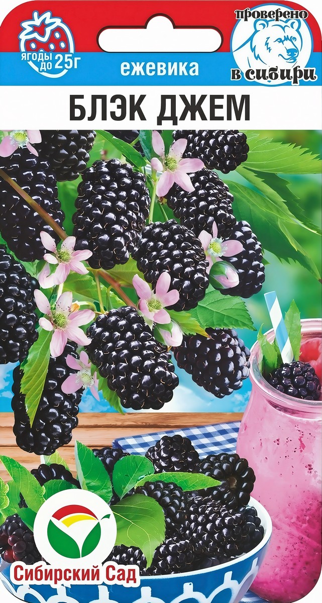 Ежевика Блэк Джем, 10 шт. 