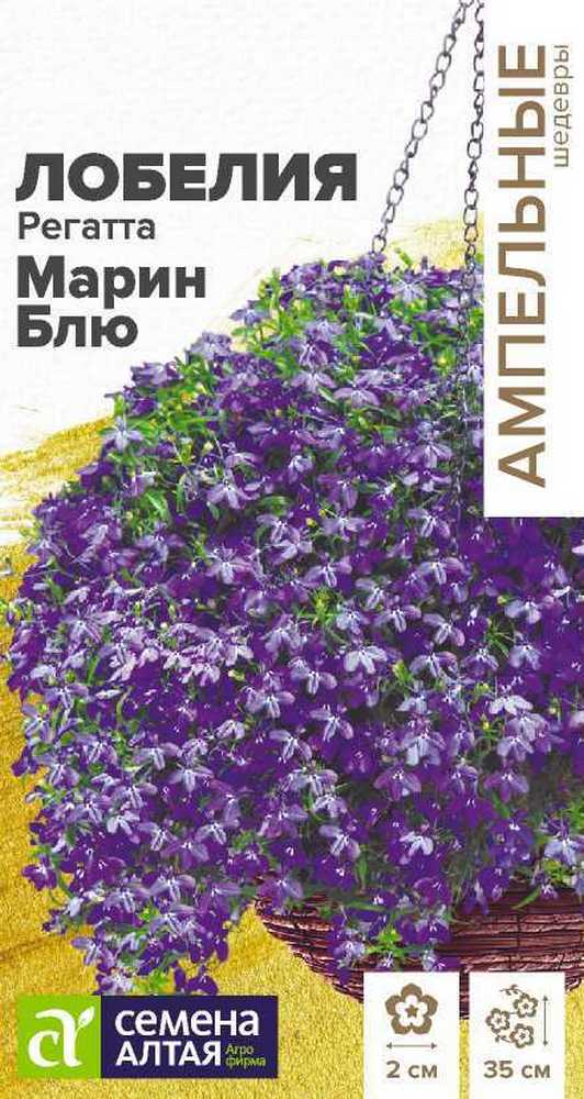 Лобелия Регатта Марин Блю, ампельная, 8 шт. Ампельные Шедевры.