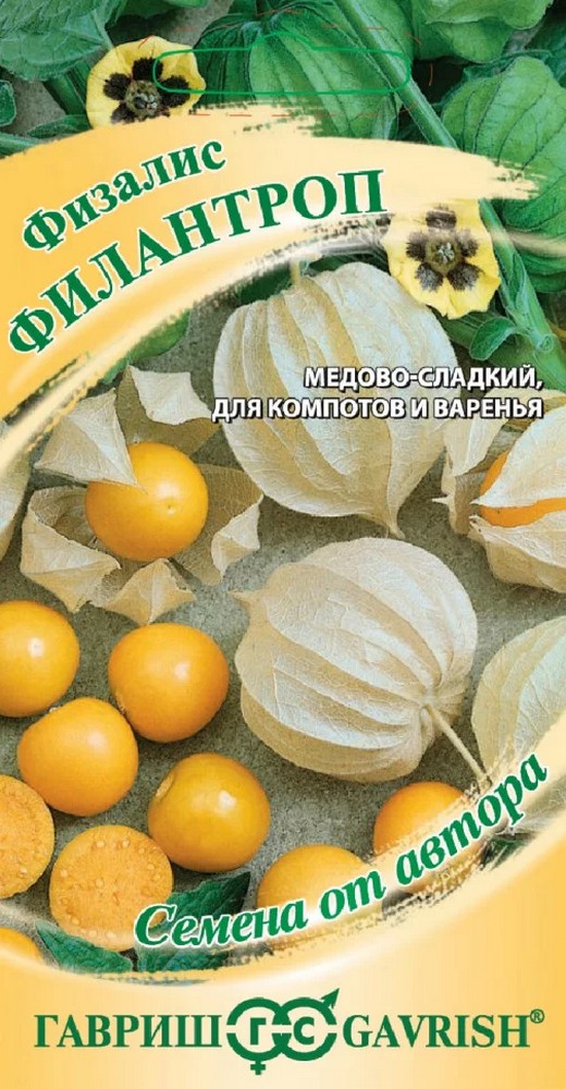 Физалис Филантроп, 20 шт. Авторские семена.