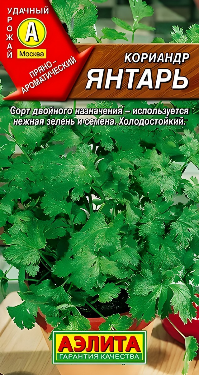 Кориандр Янтарь, 3 г